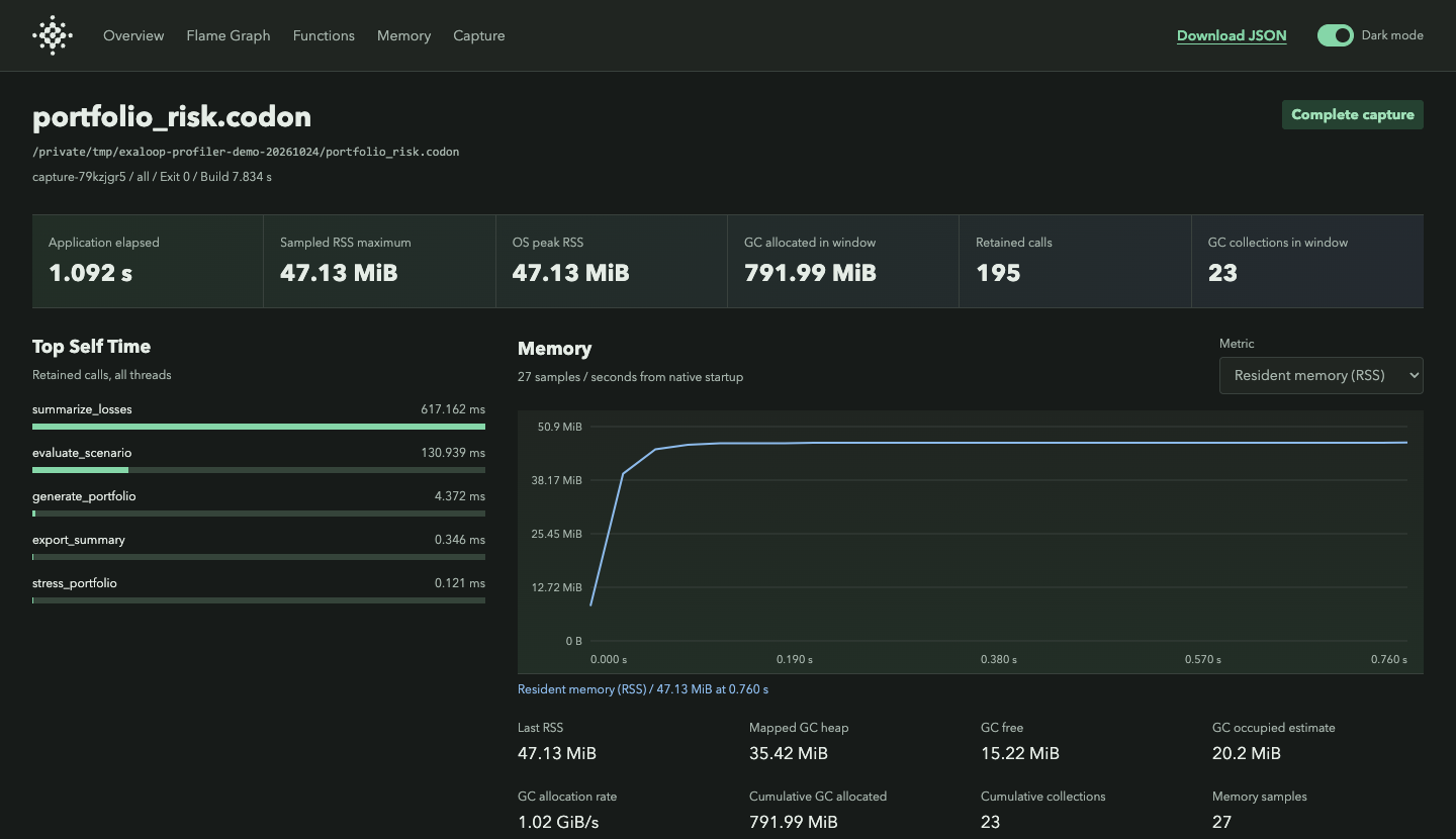 Native profiling of a synthetic portfolio-risk workload with 250,000 loans and 96 stress scenarios, showing execution totals, function timings, and memory use
